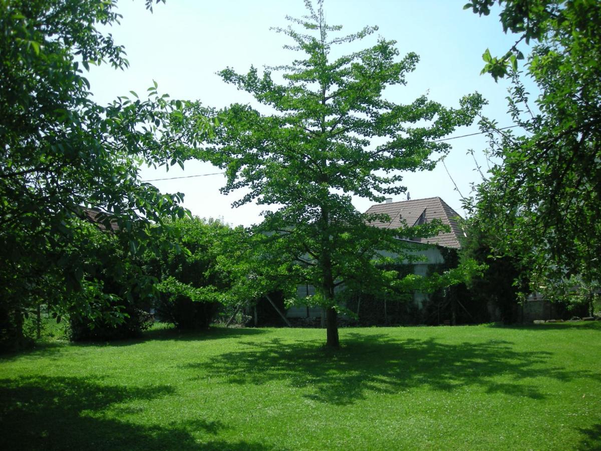 Chambre D'Hote Chez Lulu Saasenheim Dış mekan fotoğraf